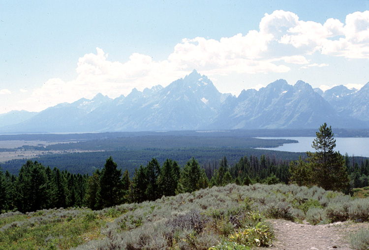 90-08-07, 25, Grand Teton National Park. Wyoming