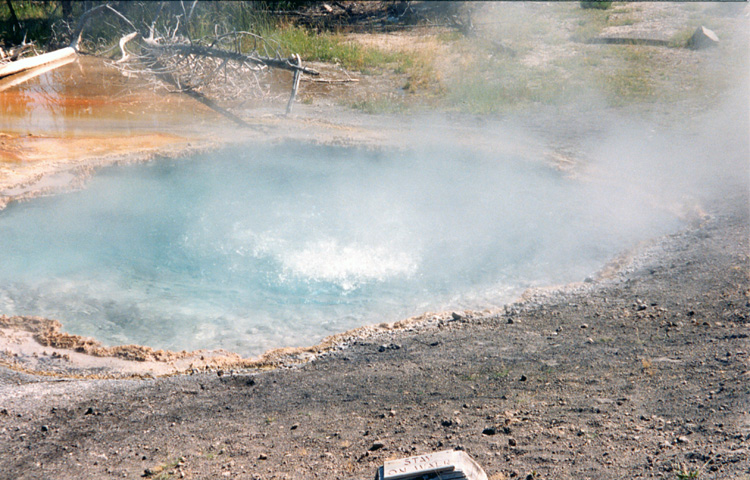 90-08-08, 01, Yellow Stone National Park. Wyoming