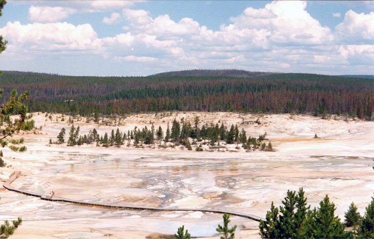 90-08-08, 07, Yellow Stone National Park. Wyoming