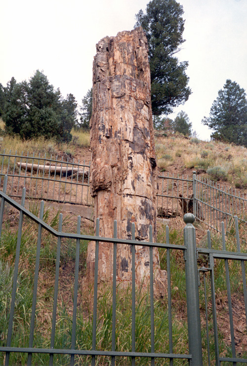 90-08-08, 11, Yellow Stone National Park. Wyoming