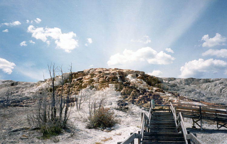 90-08-08, 16, Yellow Stone National Park. Wyoming