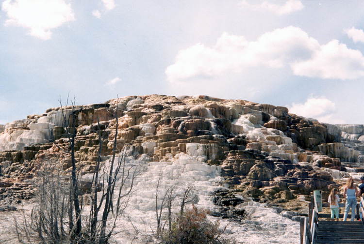 90-08-08, 17, Yellow Stone National Park. Wyoming