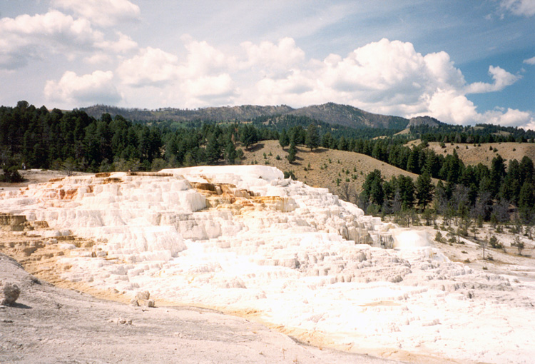 90-08-08, 18, Yellow Stone National Park. Wyoming