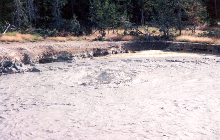 90-08-08, 19, Yellow Stone National Park. Wyoming