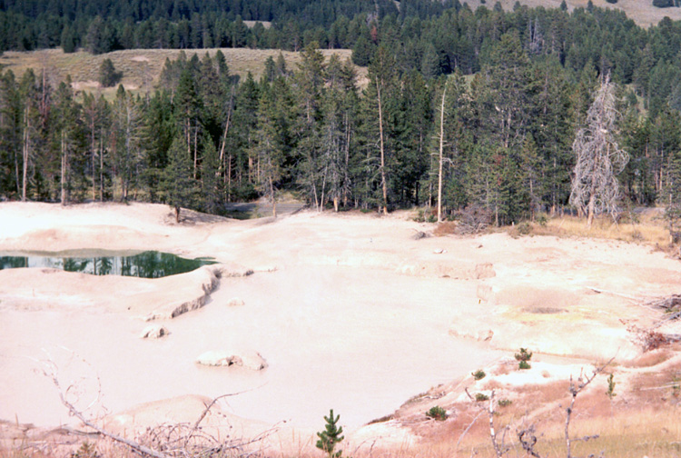 90-08-08, 21, Yellow Stone National Park. Wyoming