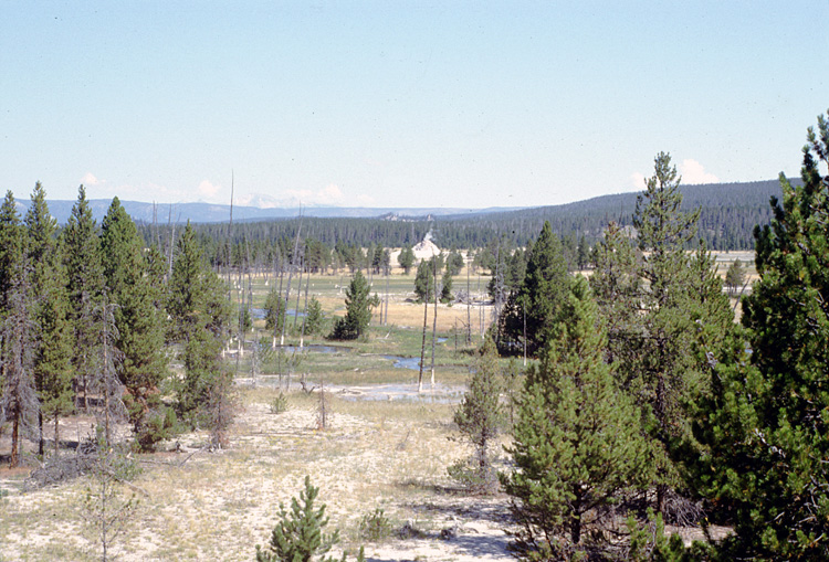 90-08-08, 29, Yellow Stone National Park. Wyoming