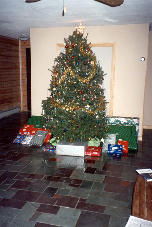 90-12-25, 00, Christmas Tree, Dingmans Ferry, PA