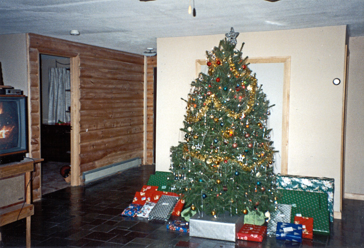 90-12-25, 01, Christmas Tree, Dingmans Ferry, PA