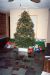 90-12-25, 00, Christmas Tree, Dingmans Ferry, PA