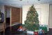 90-12-25, 01, Christmas Tree, Dingmans Ferry, PA