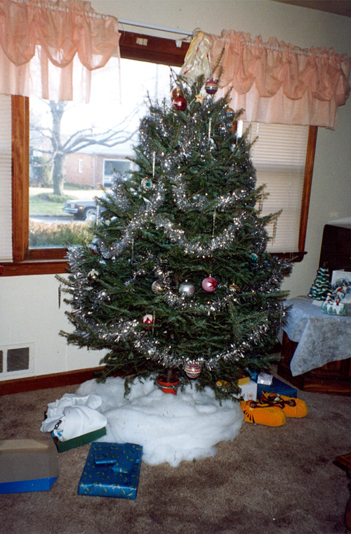 91-12-25, 12, Tree, Christmas, North Plainfield, NJ