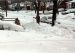 93-03-13, 01, The Big Snow Storm of '93, Saddle Brook, NJ