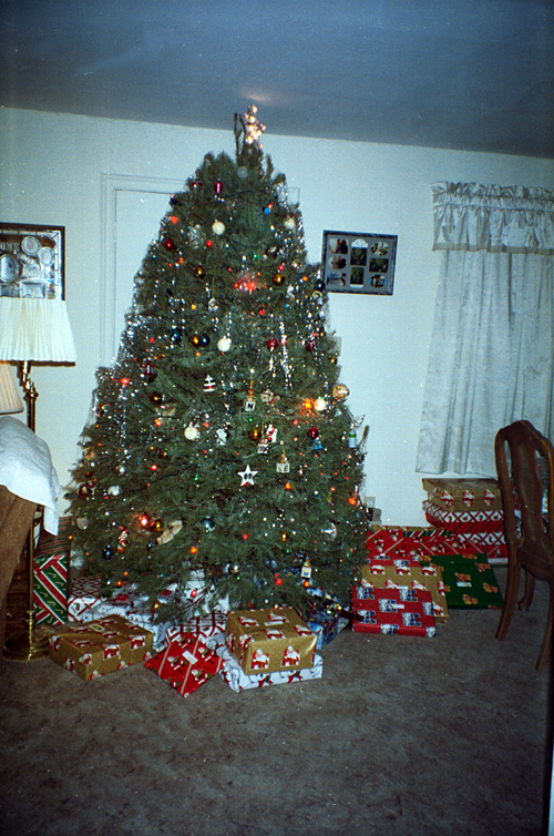 93-12-25, 16, Christmas Tree, Saddle Brook, NJ