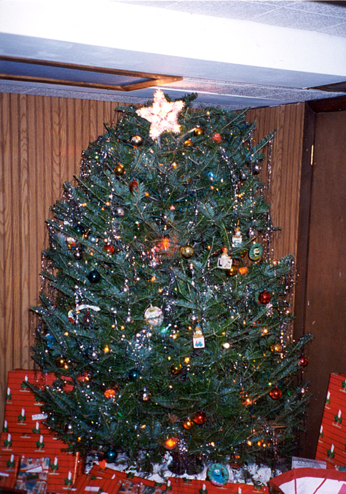 94-12-25, 00, Christmas Tree, Saddle Brook, NJ