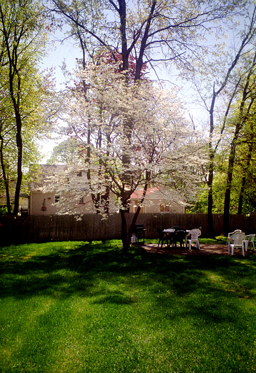 97-04-16, 11, Grandma's Back Yard, 48 Weller Terr, SB, NJ