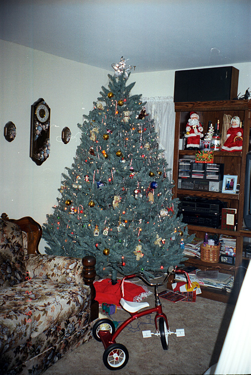 99-12-27, 05, Chritmas Tree, Saddle Brook, NJ