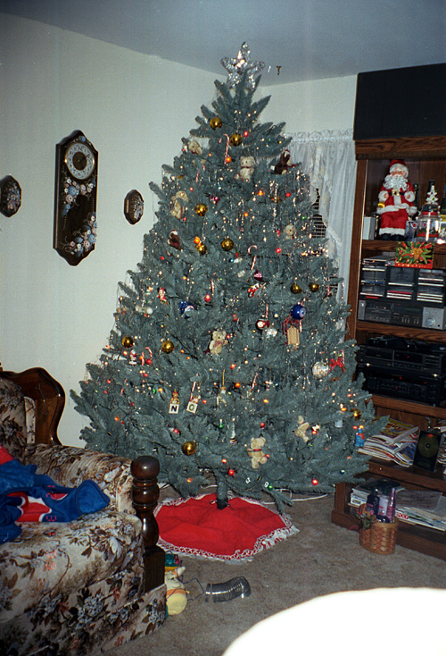 99-12-31, 11, Chritmas Tree, Saddle Brook, NJ