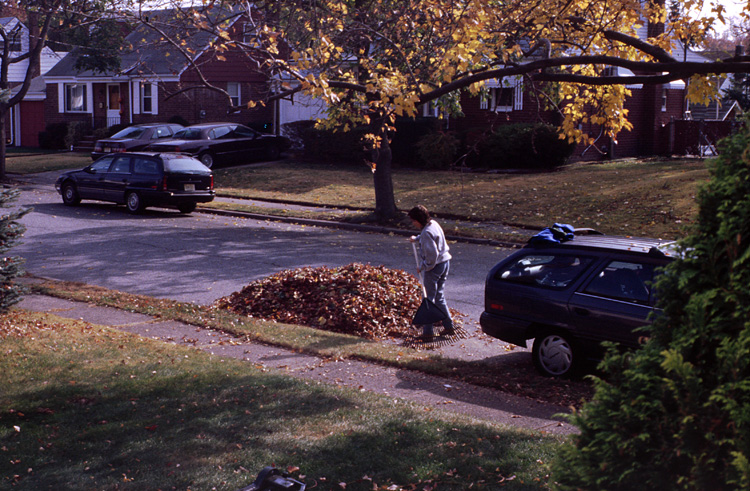 00-10-22, 02, Linda Raking Leaves, Saddle Brook, NJ