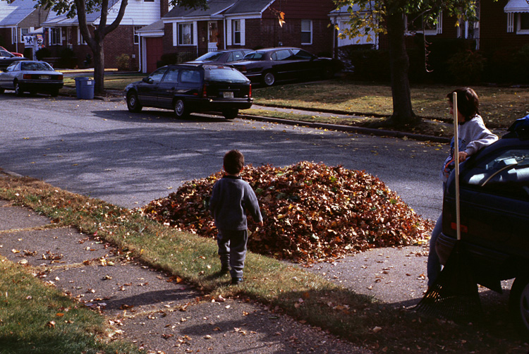 00-10-22, 04, Mikey in the Leaves, Saddle Brook, NJ