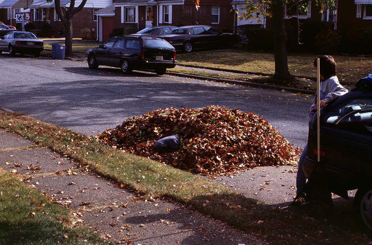 00-10-22, 05, Mikey in the Leaves, Saddle Brook, NJ