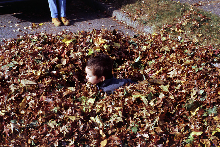 00-10-22, 09, Mikey in the Leaves, Saddle Brook, NJ