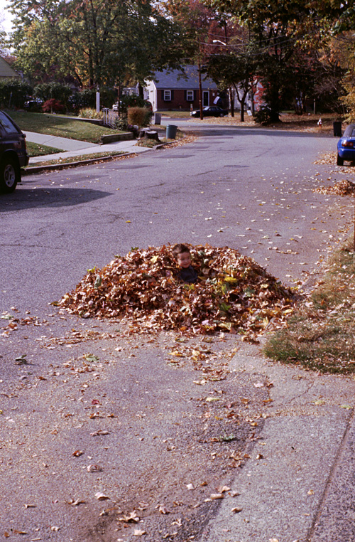 00-10-22, 12, Mikey in the Leaves, Saddle Brook, NJ