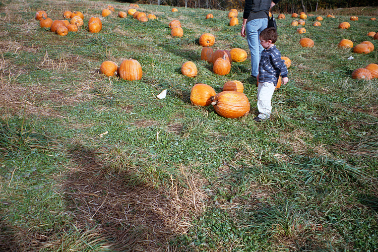 00-10-14, 01a, Mikey and Pumkins, Pumkin Picking Farm, NJ