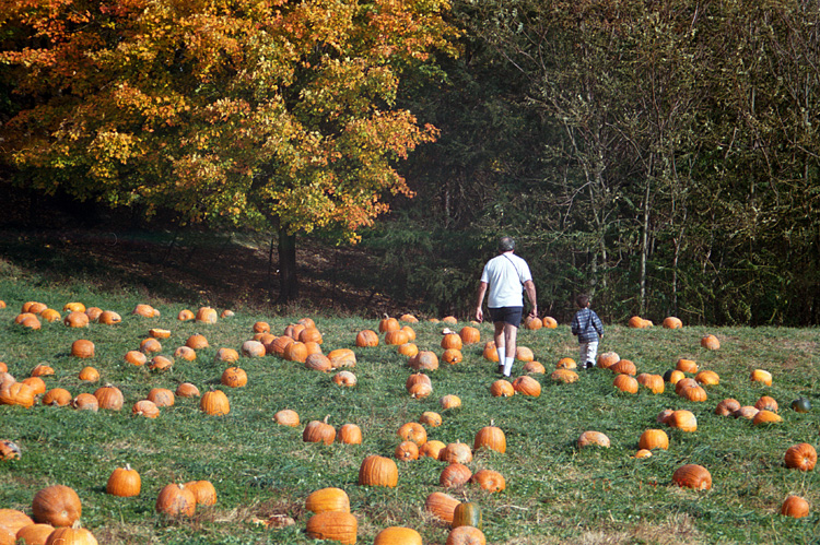 00-10-14, 05a, Mikey and Pumkins, Pumkin Picking Farm, NJ