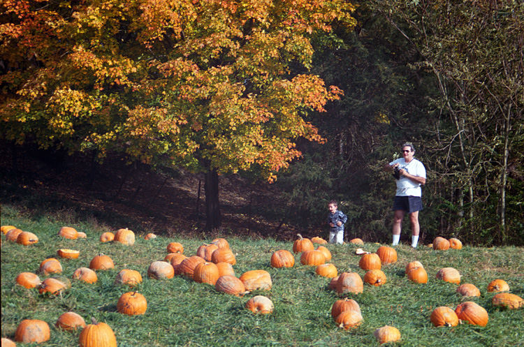 00-10-14, 06a, Mikey and Pumkins, Pumkin Picking Farm, NJ