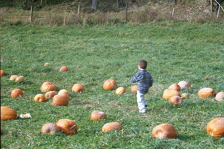 00-10-14, 07a, Mikey and Pumkins, Pumkin Picking Farm, NJ