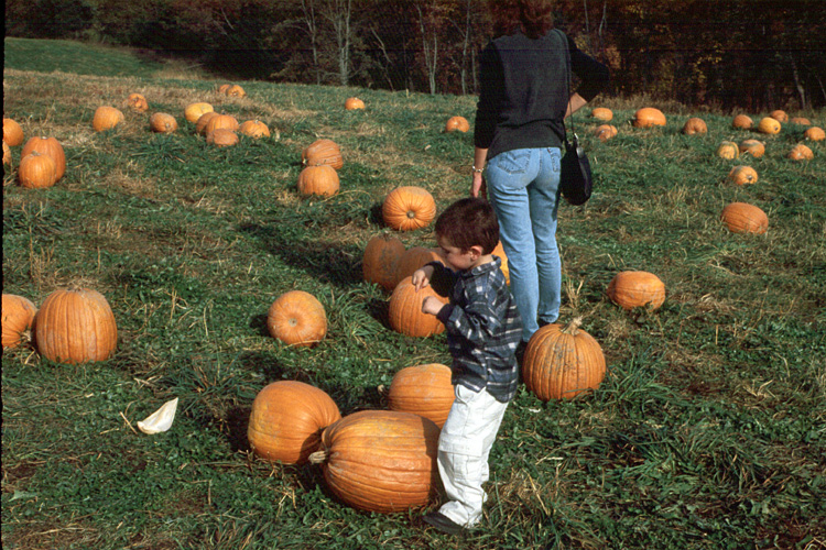 00-10-14, 08, Mikey and Pumkins, Pumkin Picking Farm, NJ