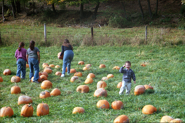 00-10-14, 08a, Mikey and Pumkins, Pumkin Picking Farm, NJ