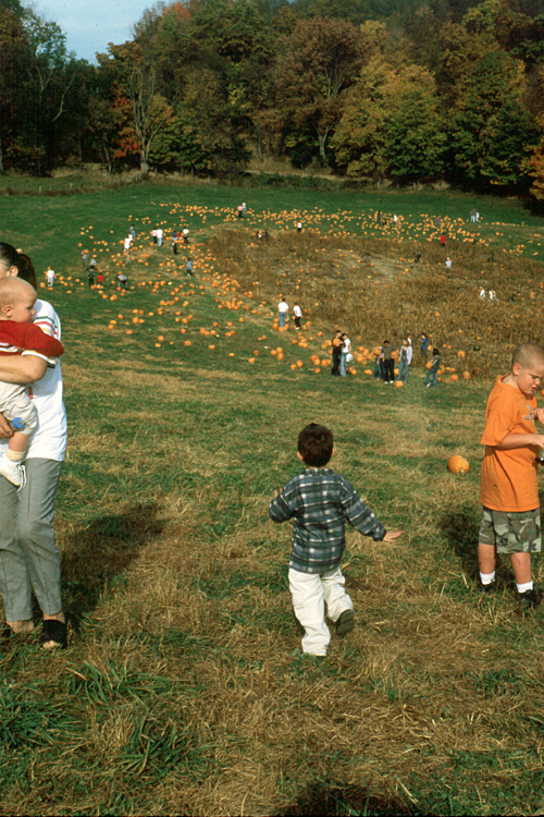 00-10-14, 09, Mikey and Pumkins, Pumkin Picking Farm, NJ