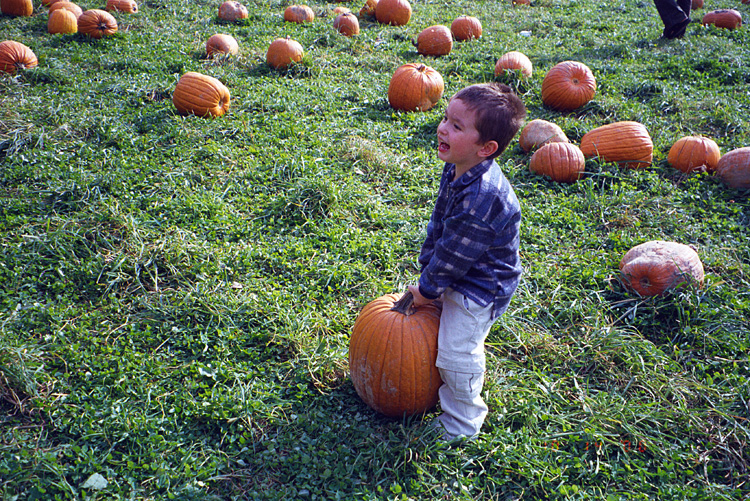 00-10-14, 09a, Mikey and Pumkins, Pumkin Picking Farm, NJ