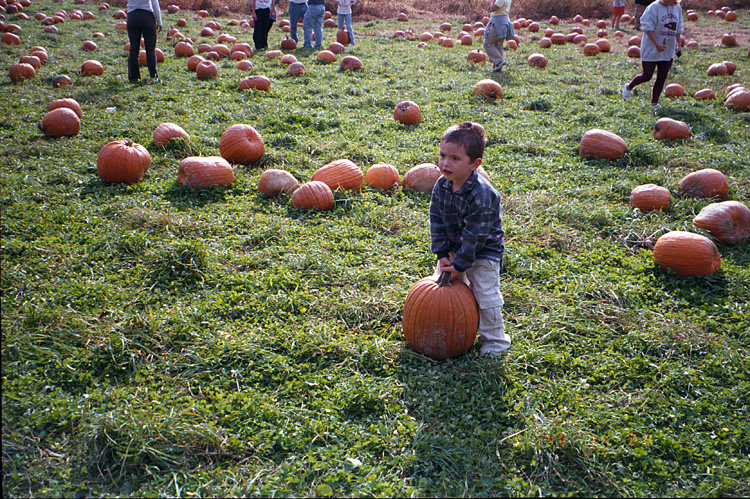 00-10-14, 10a, Mikey and Pumkins, Pumkin Picking Farm, NJ