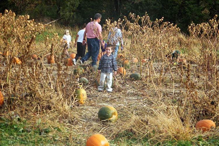 00-10-14, 12a, Mikey and Pumkins, Pumkin Picking Farm, NJ