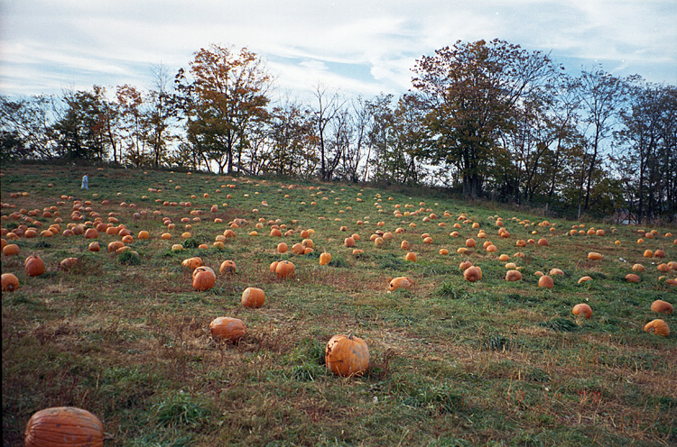 00-10-14, 14a, Mikey and Pumkins, Pumkin Picking Farm, NJ