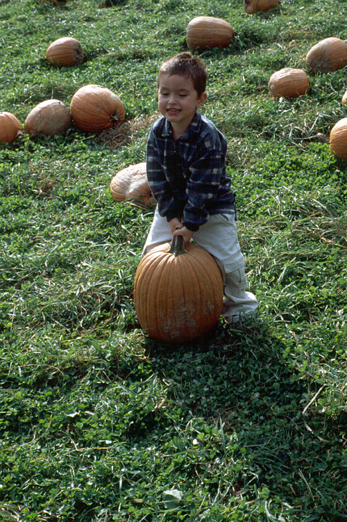 00-10-14, 16, Mikey and Pumkins, Pumkin Picking Farm, NJ