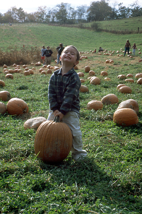 00-10-14, 17, Mikey and Pumkins, Pumkin Picking Farm, NJ