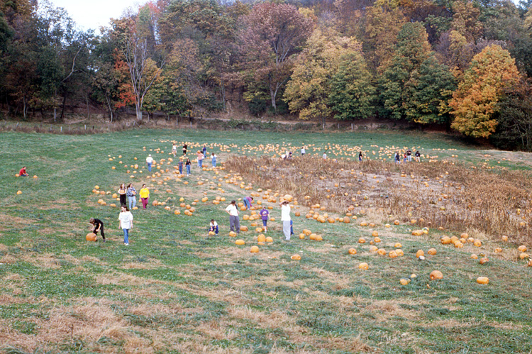 00-10-14, 20, Mikey and Pumkins, Pumkin Picking Farm, NJ