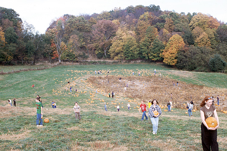 00-10-14, 21, Mikey and Pumkins, Pumkin Picking Farm, NJ