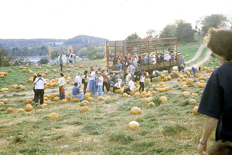 00-10-14, 22, Mikey and Pumkins, Pumkin Picking Farm, NJ