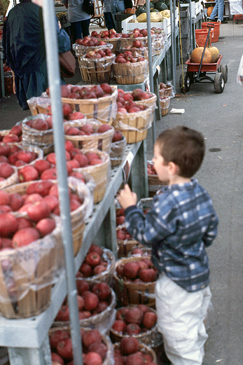 00-10-14, 24, Mikey, which apple, Pumkin Picking Farm, NJ