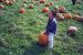 00-10-14, 09a, Mikey and Pumkins, Pumkin Picking Farm, NJ