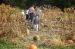 00-10-14, 12a, Mikey and Pumkins, Pumkin Picking Farm, NJ