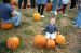 00-10-14, 15a, Mikey and Pumkins, Pumkin Picking Farm, NJ