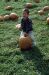 00-10-14, 16, Mikey and Pumkins, Pumkin Picking Farm, NJ