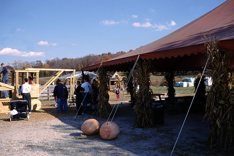 01-10-20, 01, Mikey and Pumkins, Pumkin Picking Farm, NJ