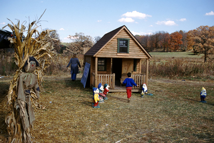 01-10-20, 06, Mikey and Pumkins, Pumkin Picking Farm, NJ