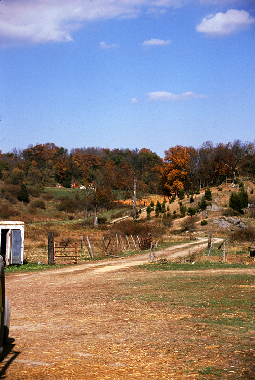 01-10-20, 11, Mikey and Pumkins, Pumkin Picking Farm, NJ